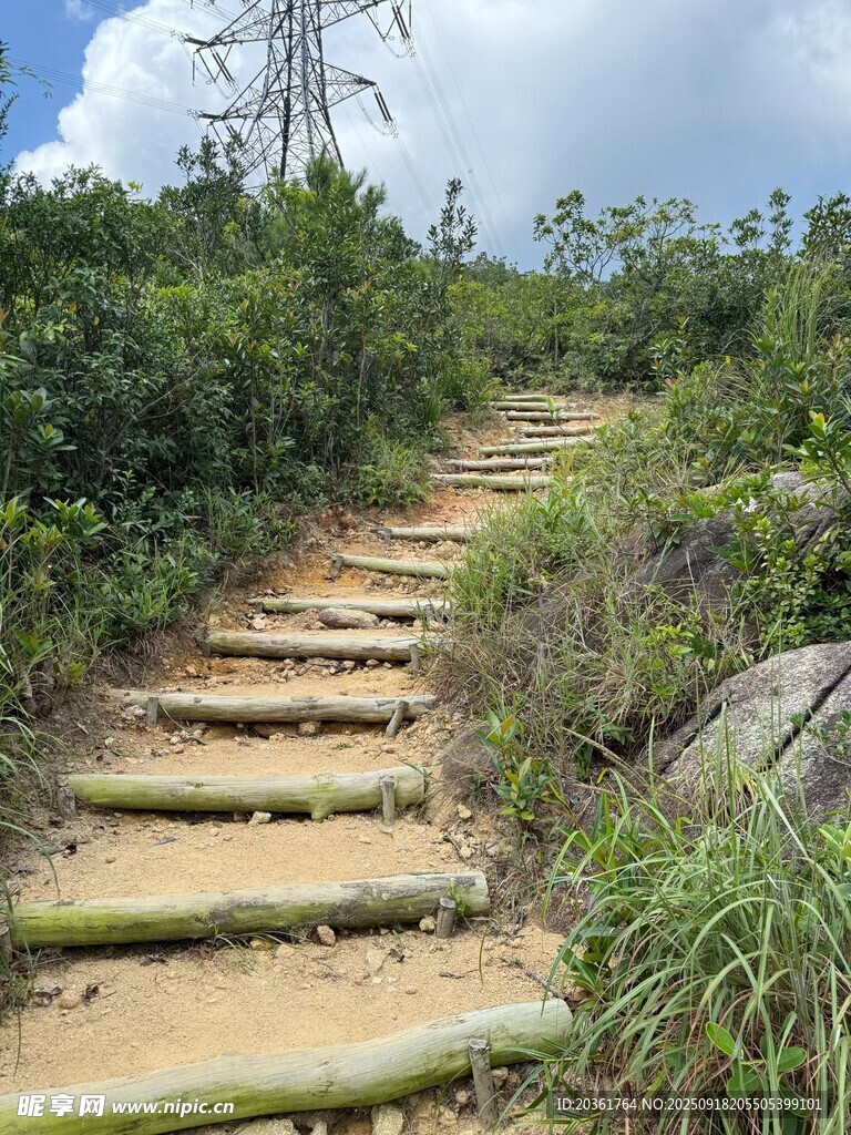 山间木阶小径