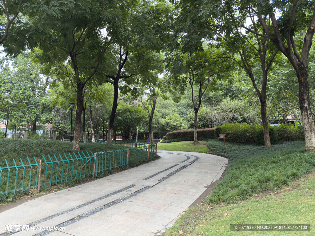 林间蜿蜒小路