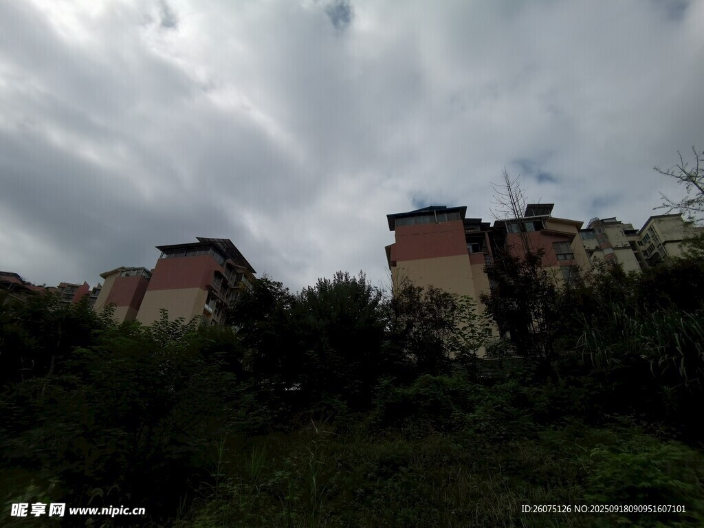 阴天下的建筑与绿植