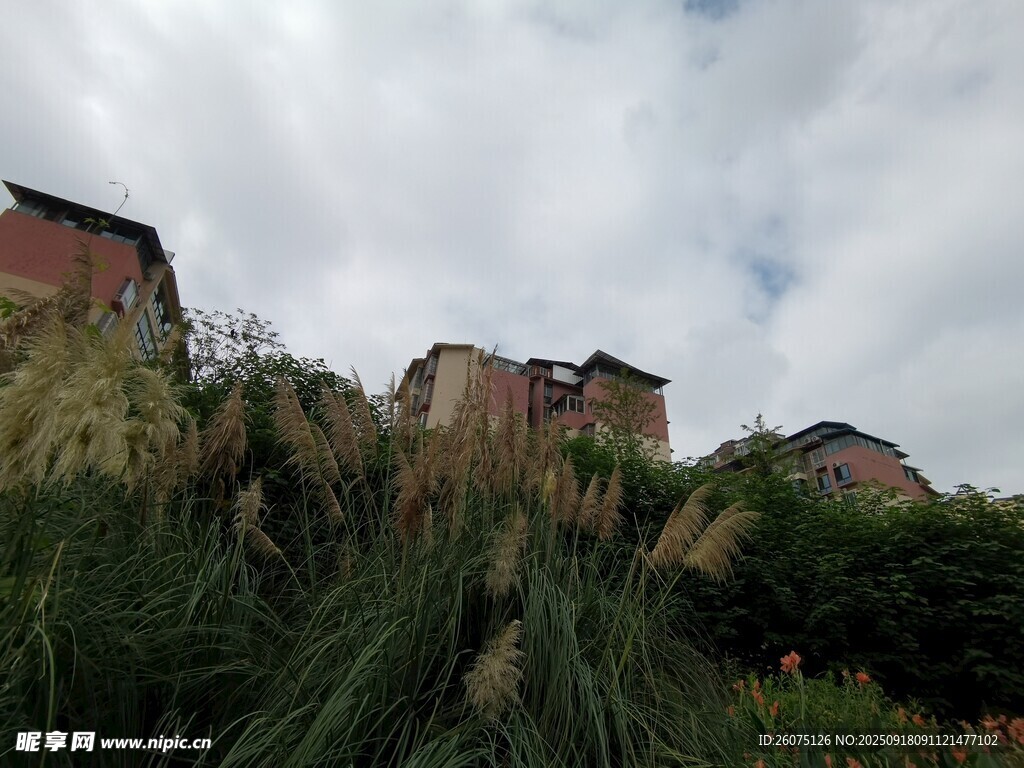 荒野中的废弃建筑遗迹