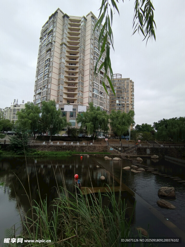 湖畔高楼与垂柳景观