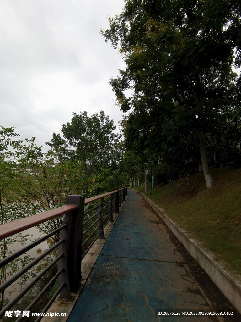 林间河畔的幽静步道