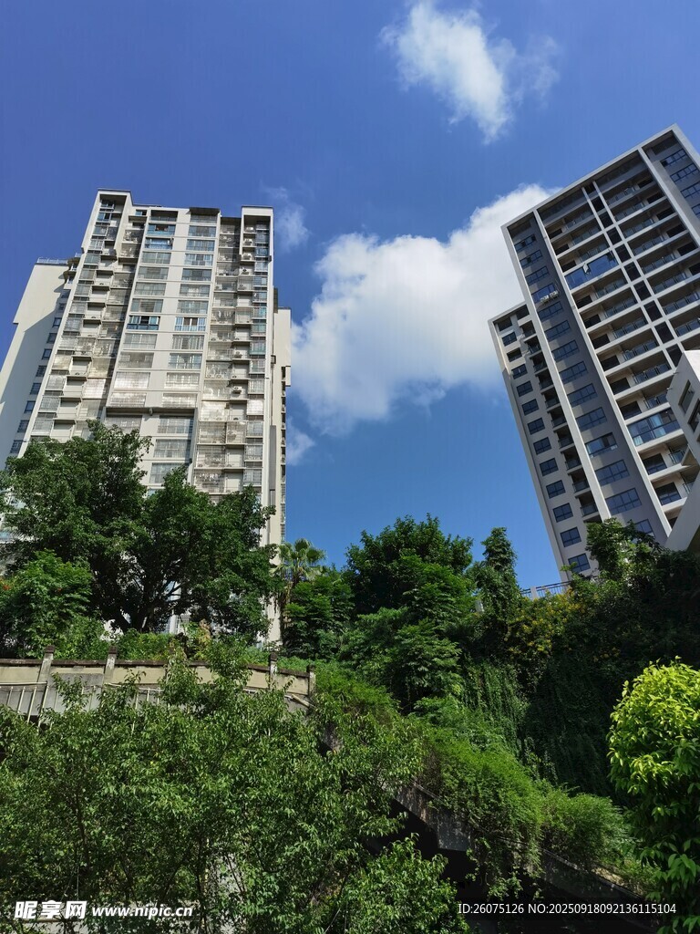 高楼林立间的绿意景观