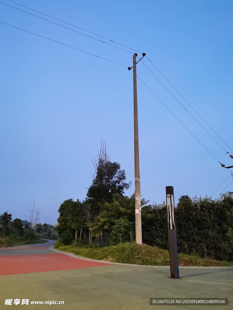 户外道路旁的绿植与灯杆