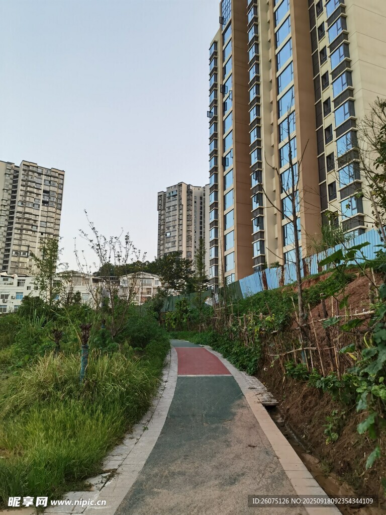 城市中的绿意步道