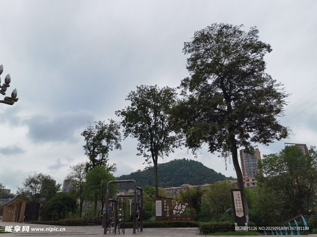 乡村路旁绿树与远山景色
