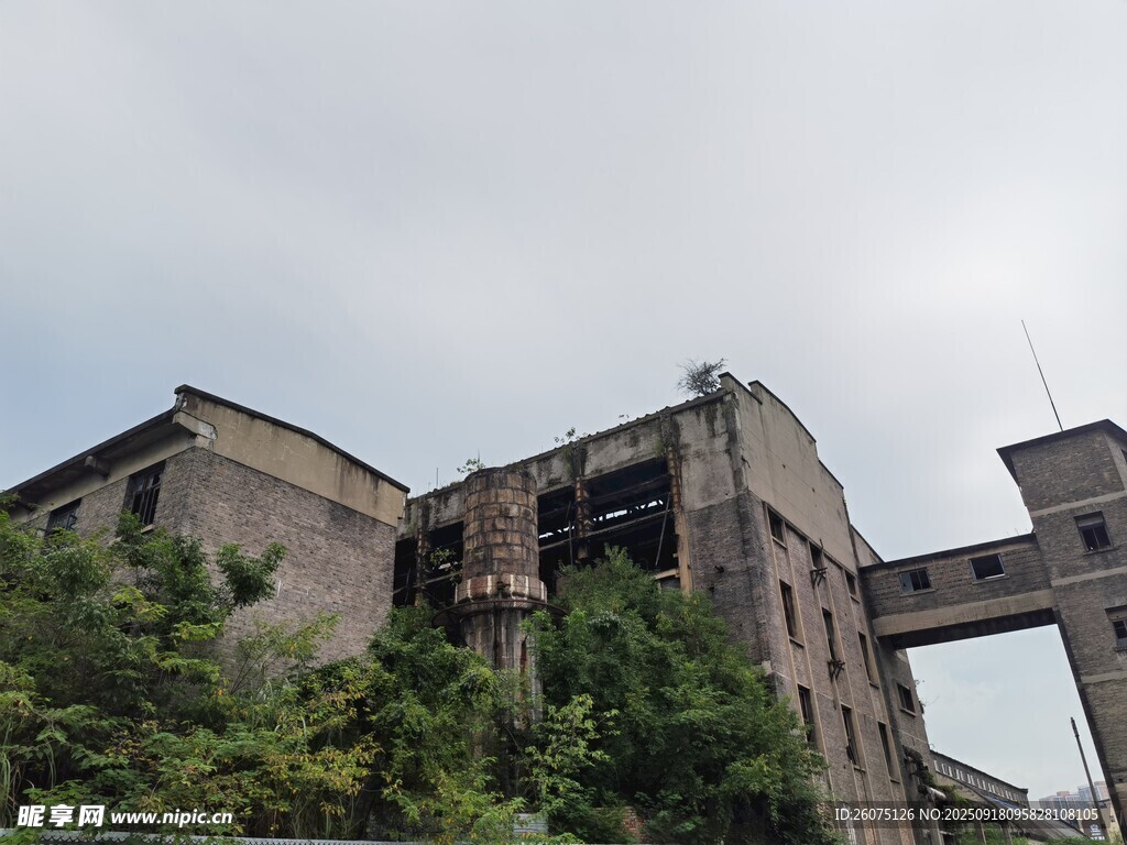 废弃工业建筑绿植环绕