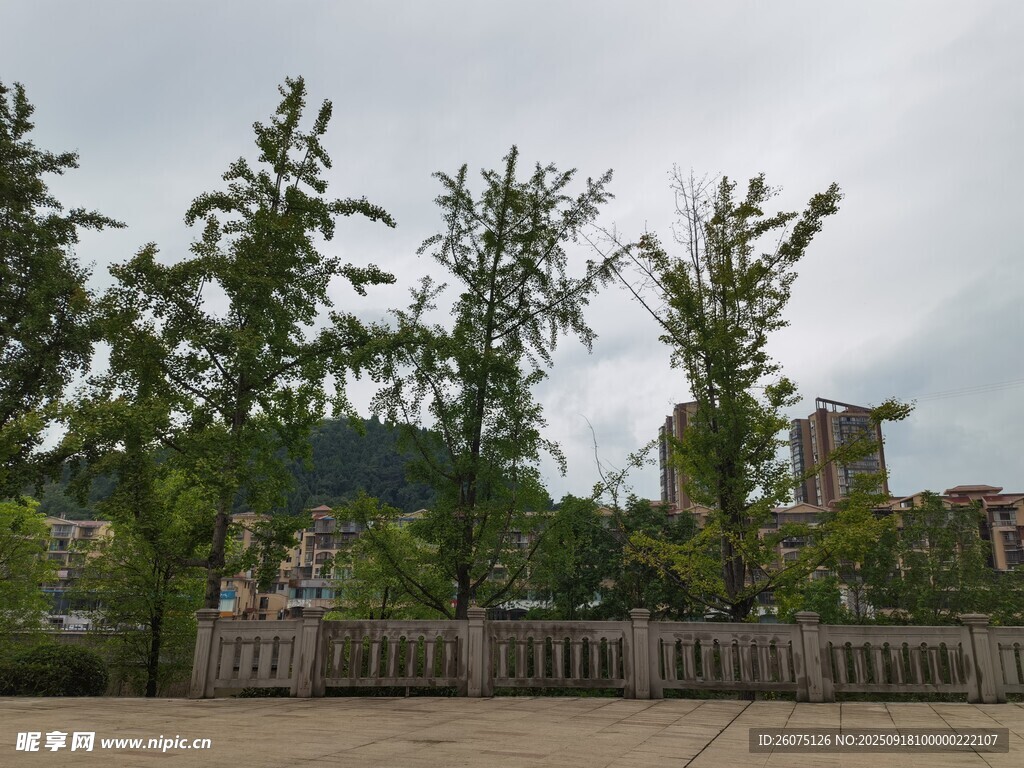 户外绿树与围栏景致