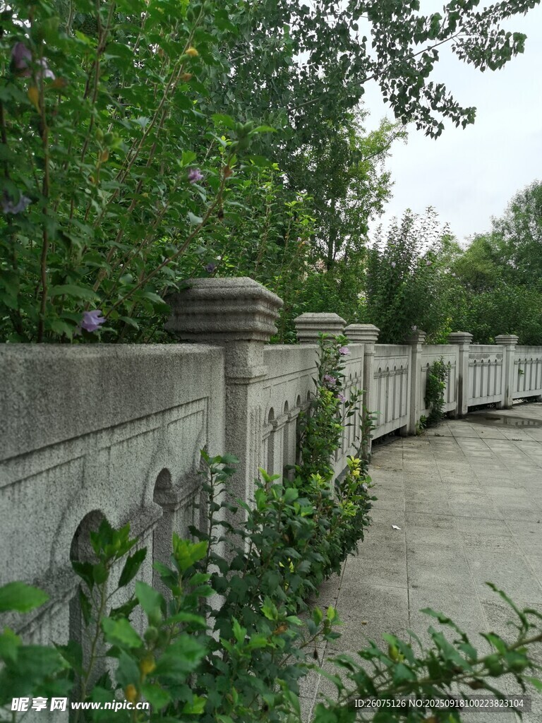 石墙绿植环绕的幽静小道