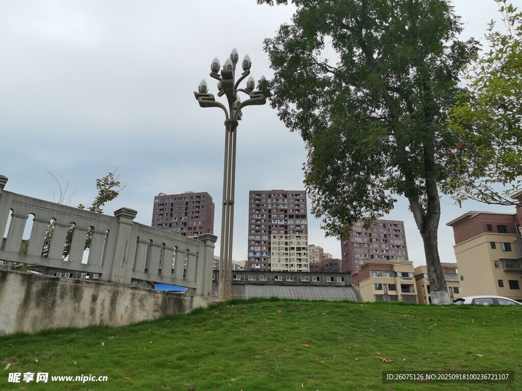 古老建筑旁的绿树草地