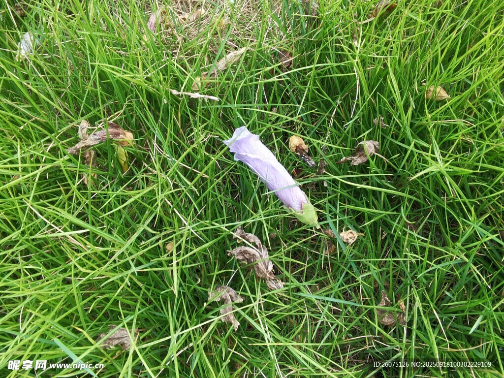 草地上的白色圆柱形物体