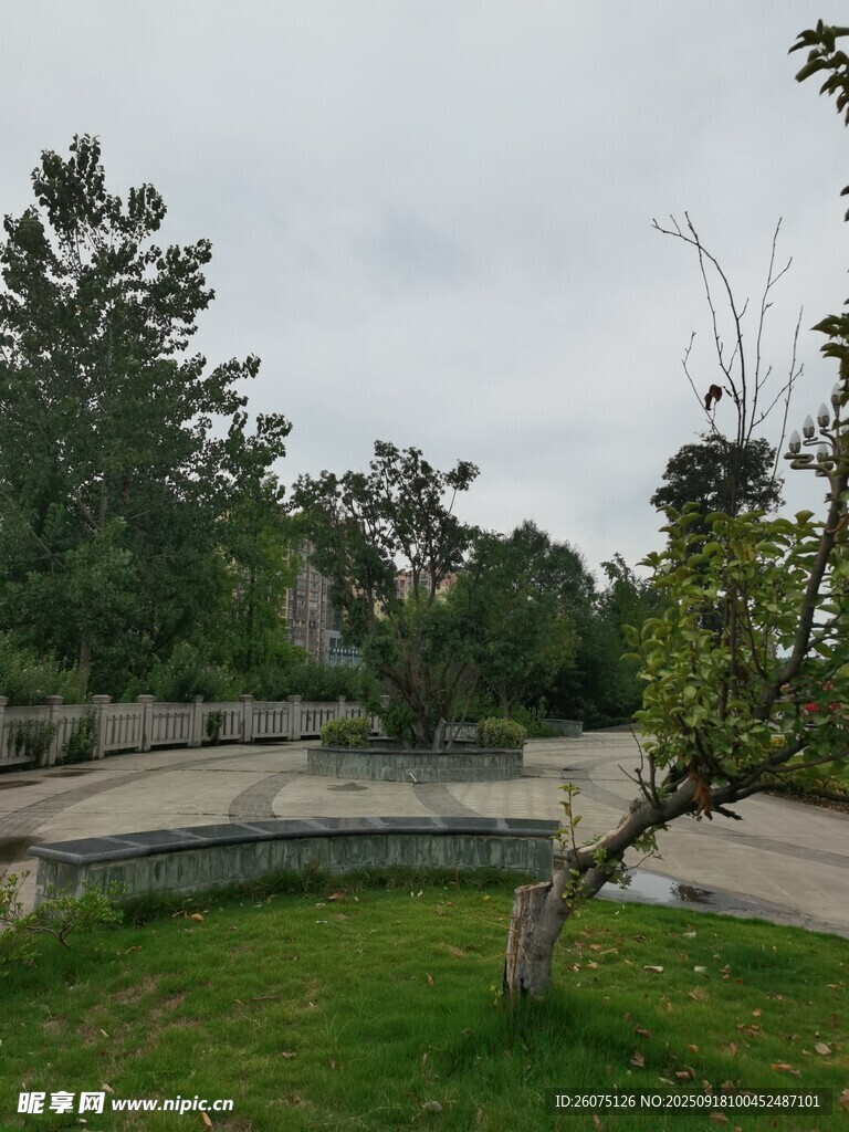 户外公园草地树木景观