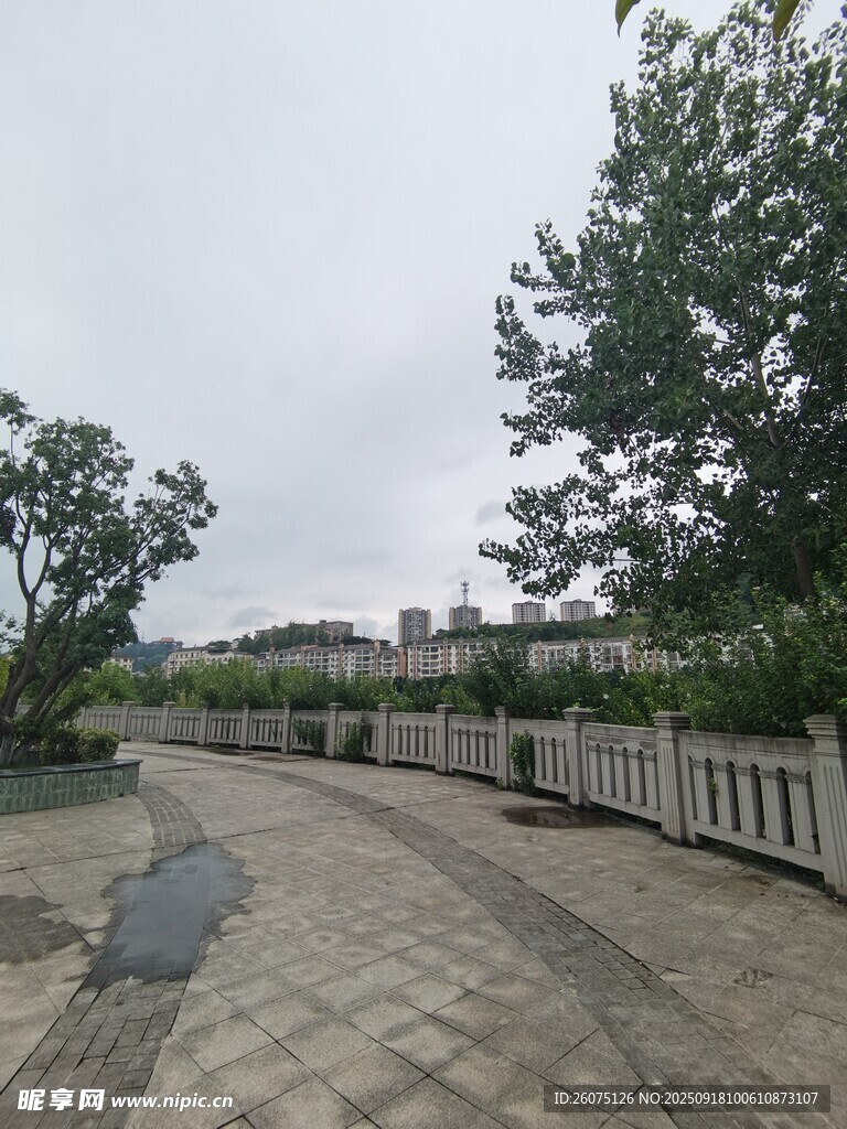 乡间石板路绿树相伴