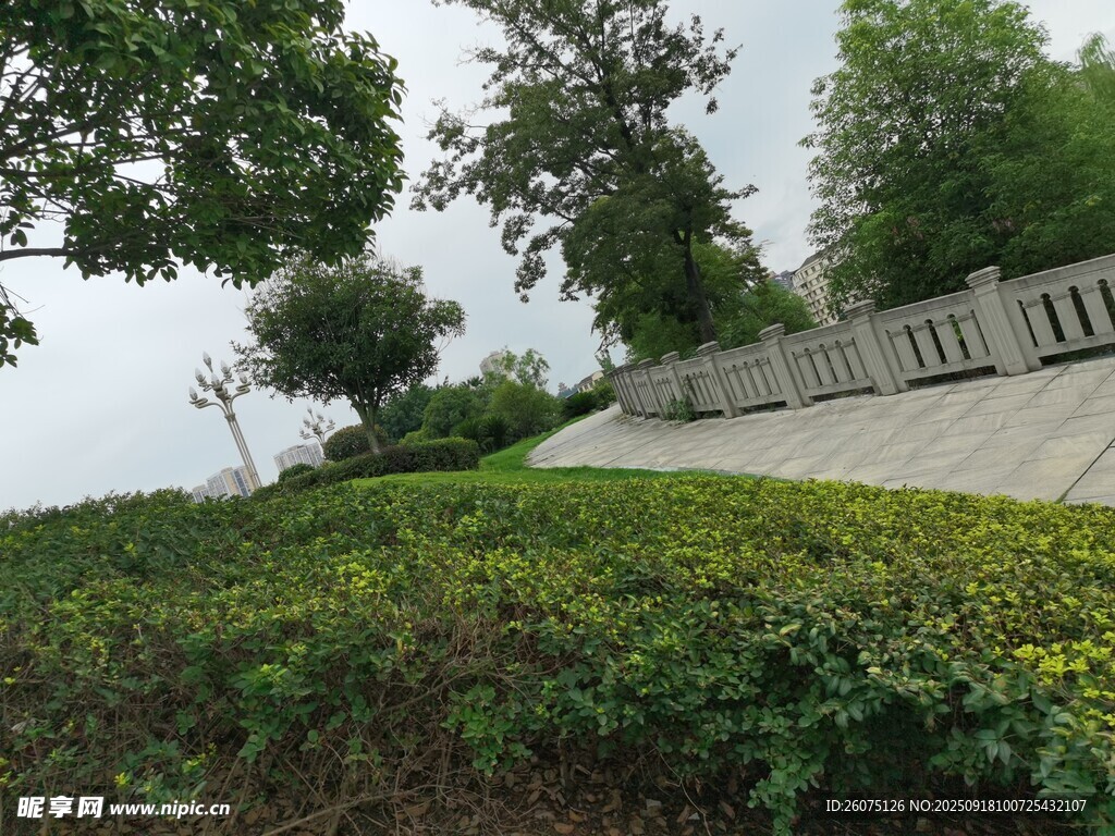 户外绿植景观