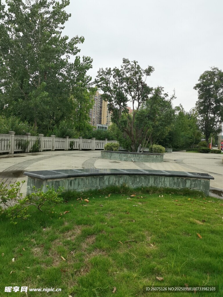 户外草坪旁的静谧景观