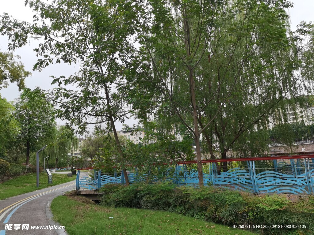 林间蜿蜒小路与围栏景观