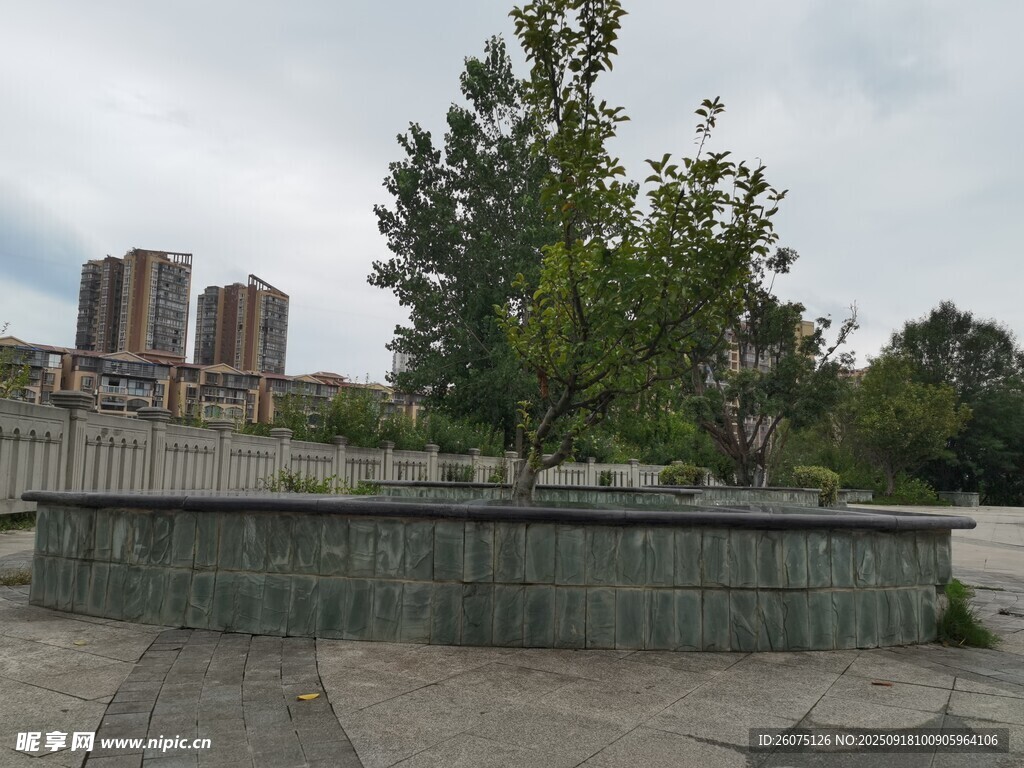 城市中的绿植与建筑景观