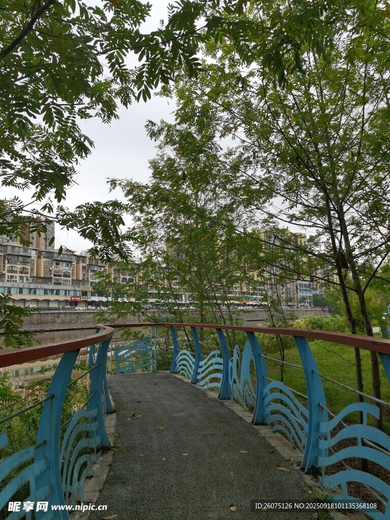 蓝栏杆小路旁绿树成荫
