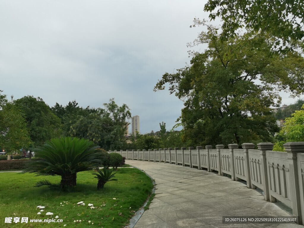 公园中的蜿蜒步道与绿植