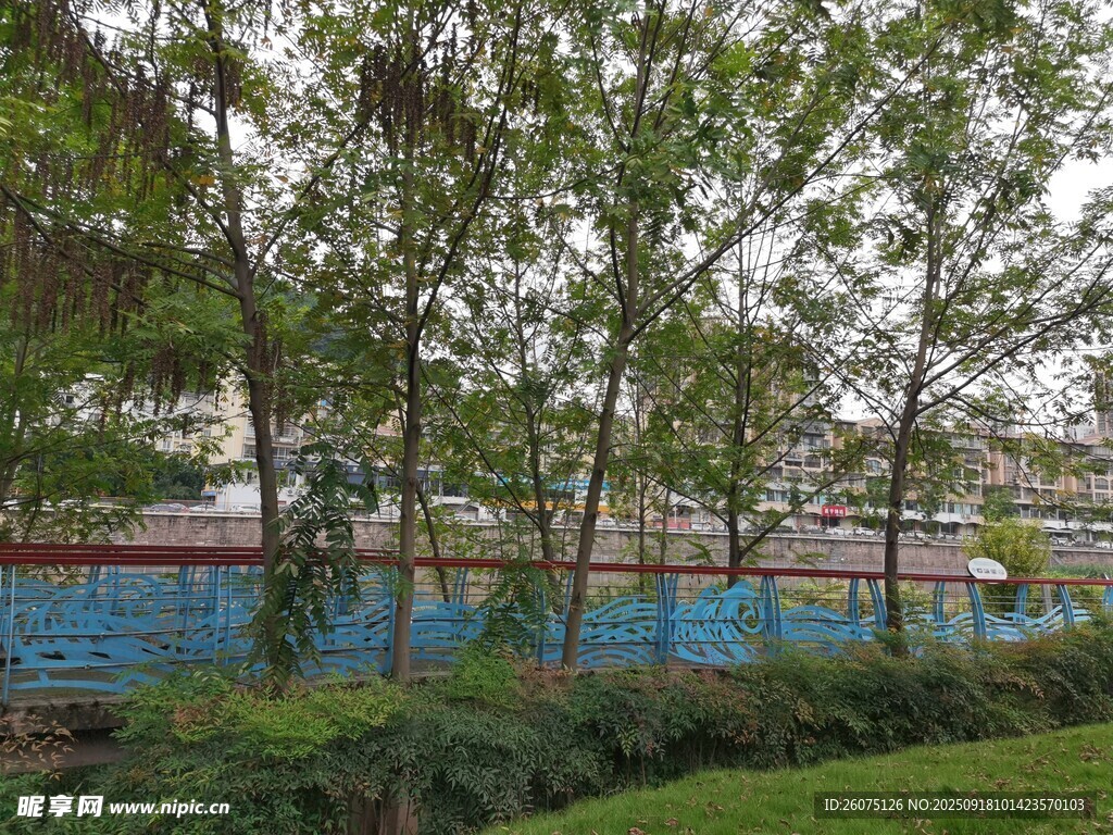 绿树环绕的户外景致