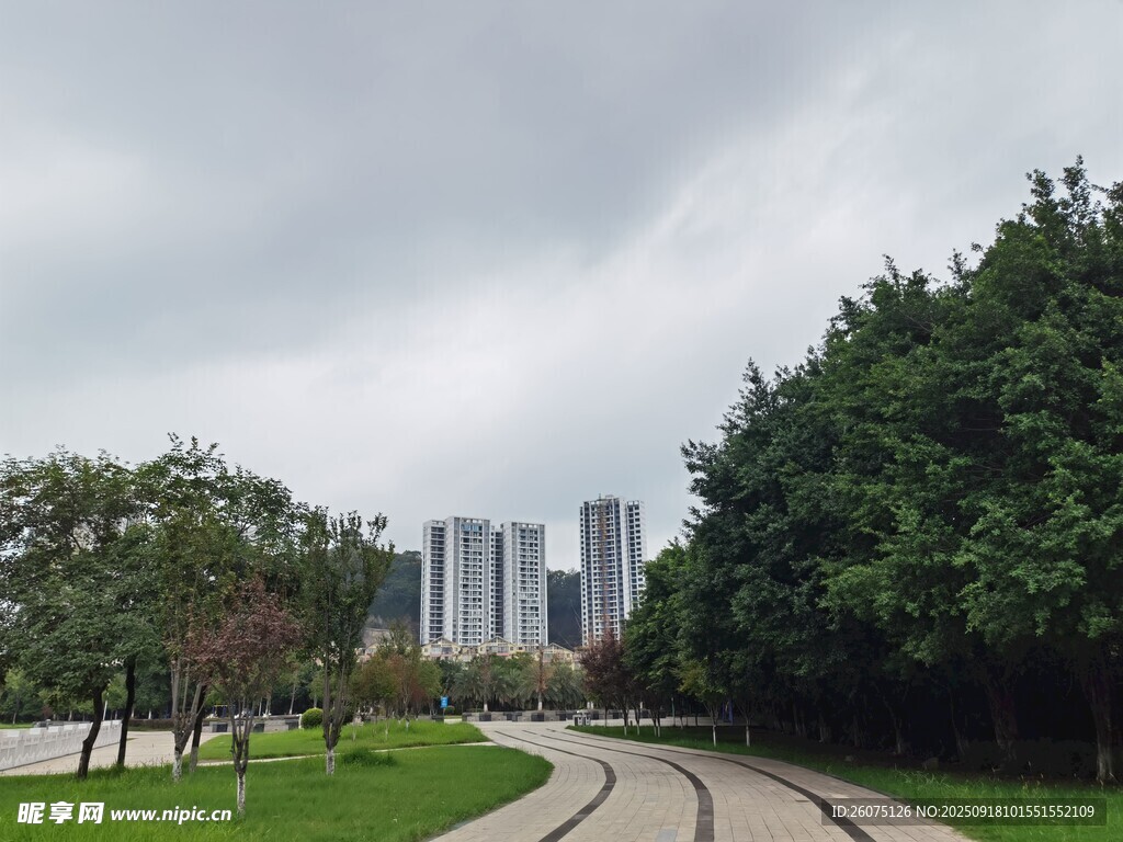 城市公园中的蜿蜒小径