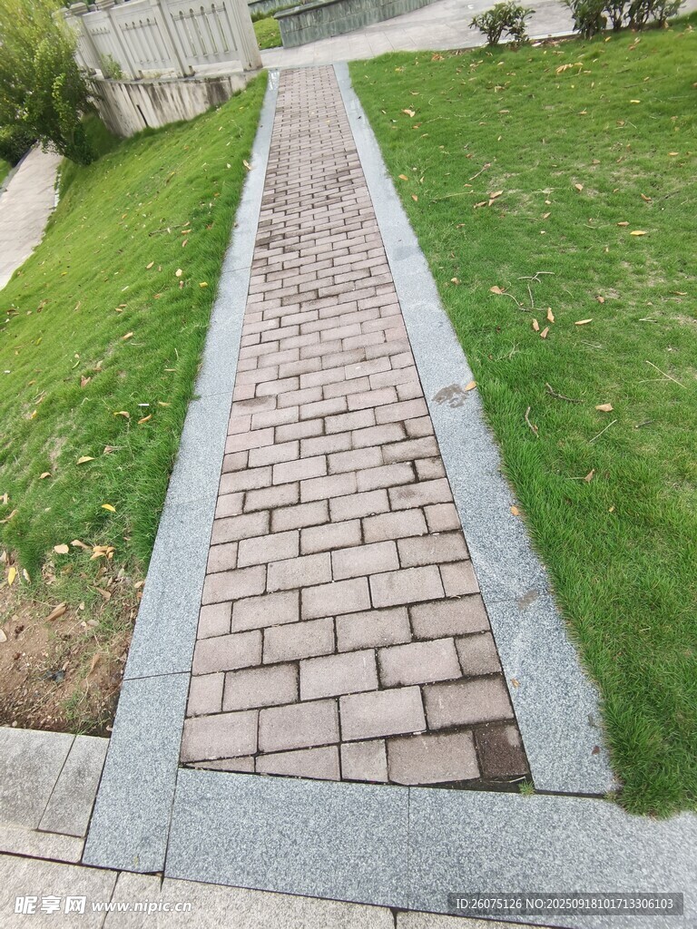 砖砌小径绿意相伴