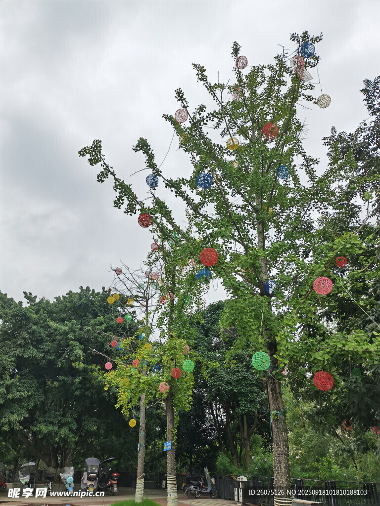 树上悬挂多彩装饰球