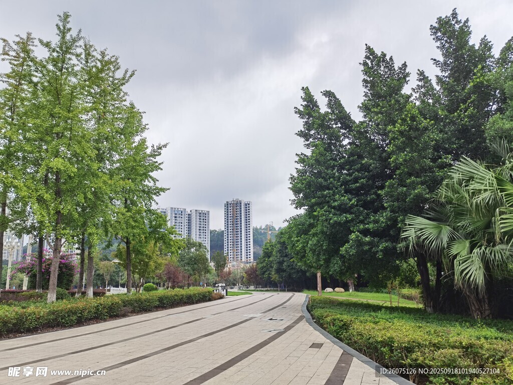 城市林荫步道景观