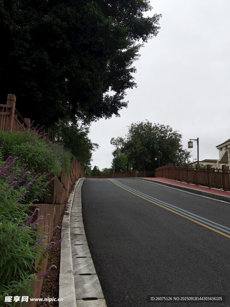 蜿蜒公路旁绿植相伴