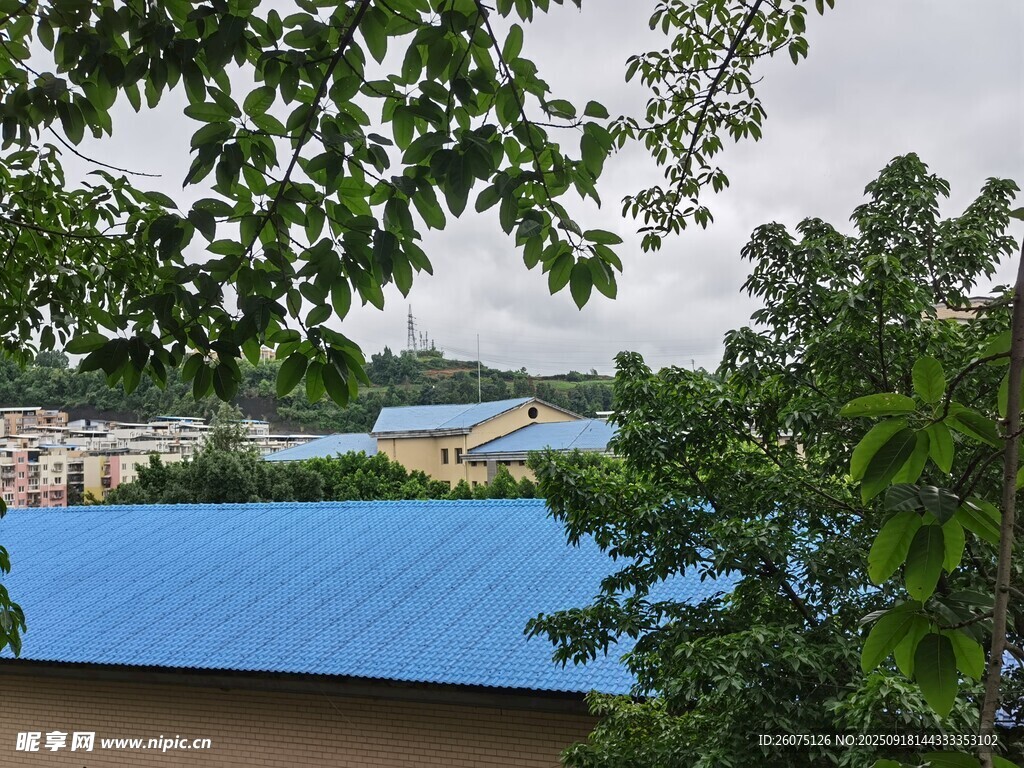 蓝顶建筑隐于绿树间