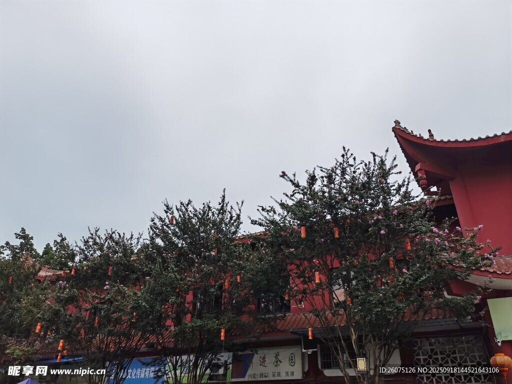 古建旁绿树成荫