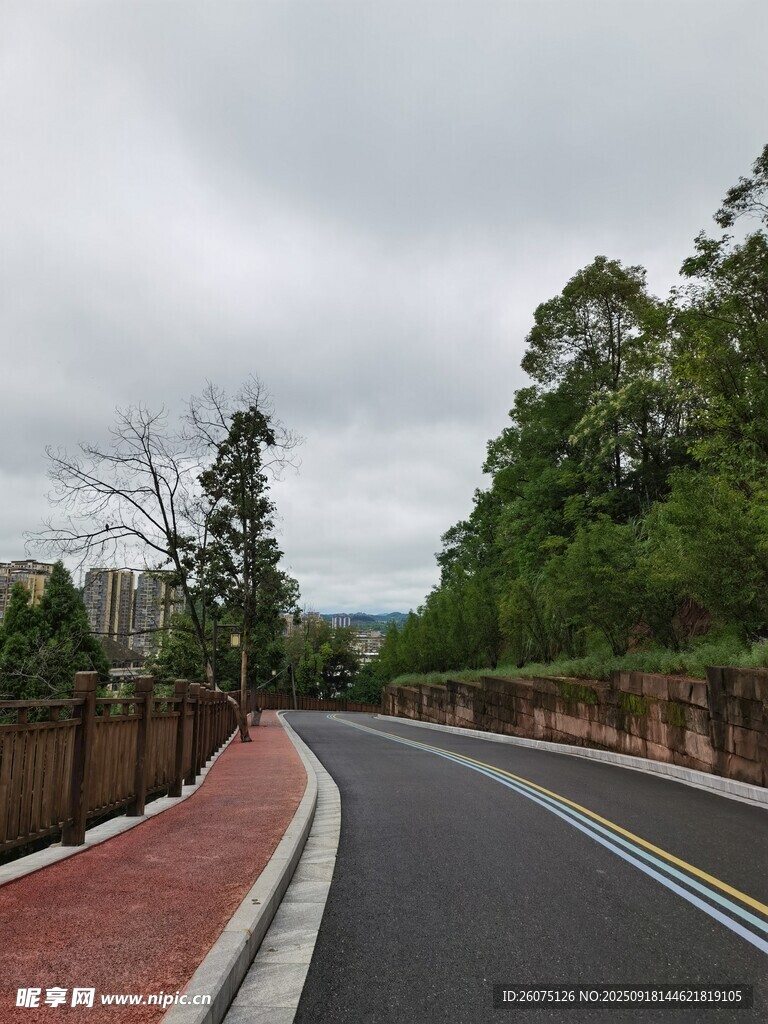 蜿蜒公路旁绿树环绕