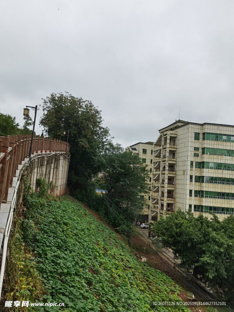 城墙边绿植与现代建筑景观