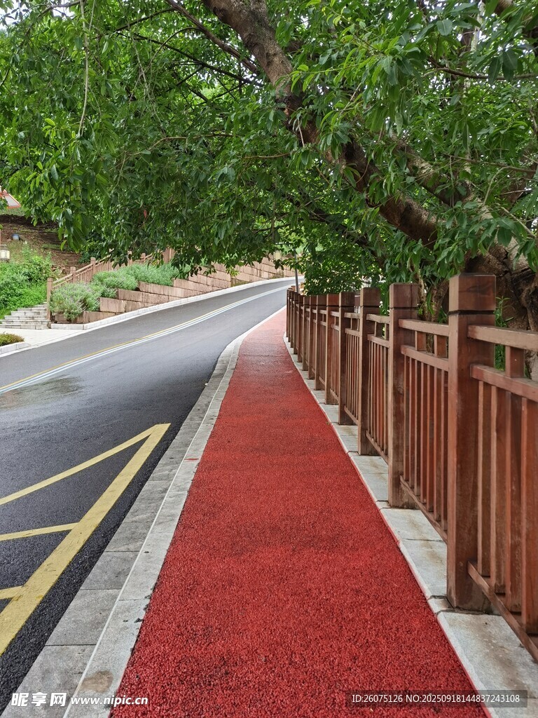 红色步道旁的绿树公路