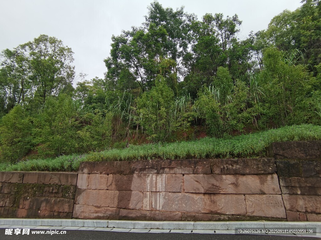 路边绿植与砖砌护坡景观