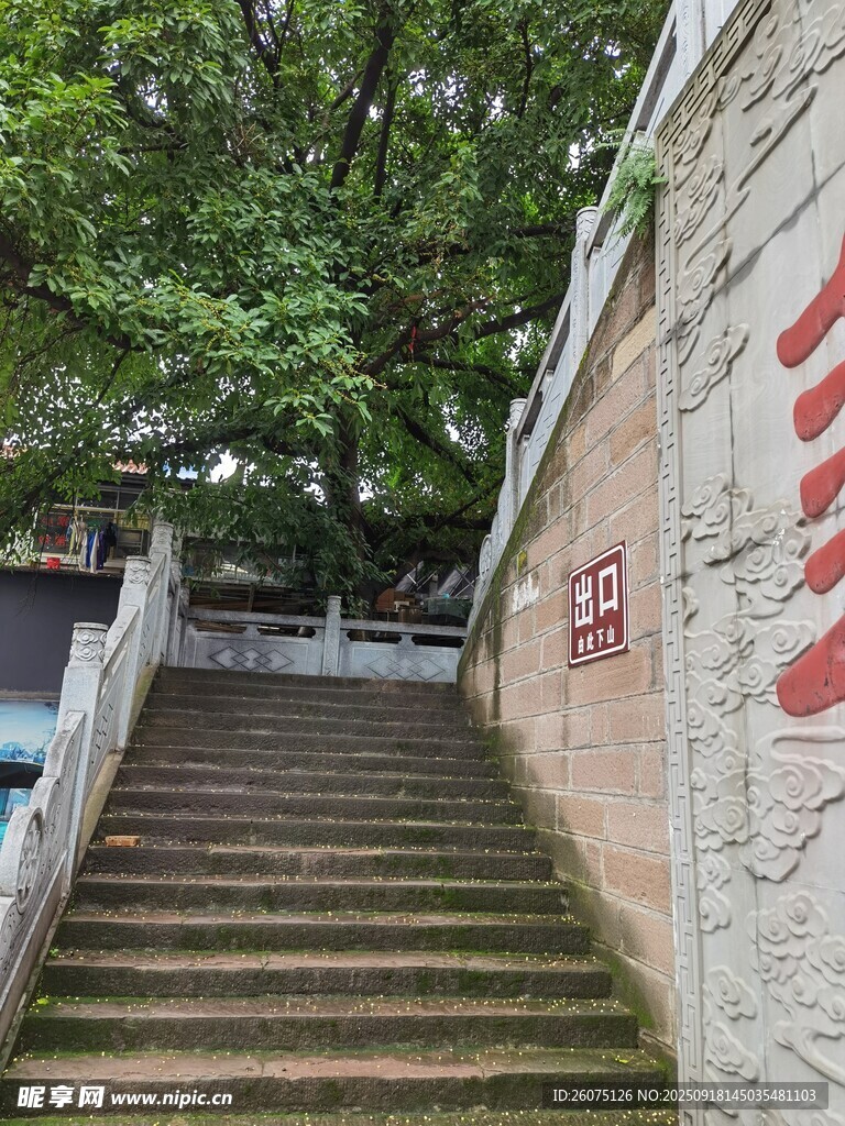 石梯旁的绿植与红色字迹