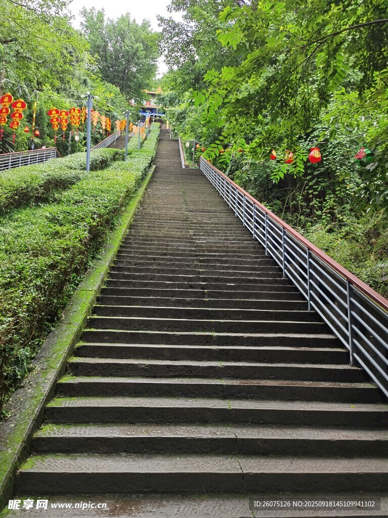 林间石阶绿意盎然的步道