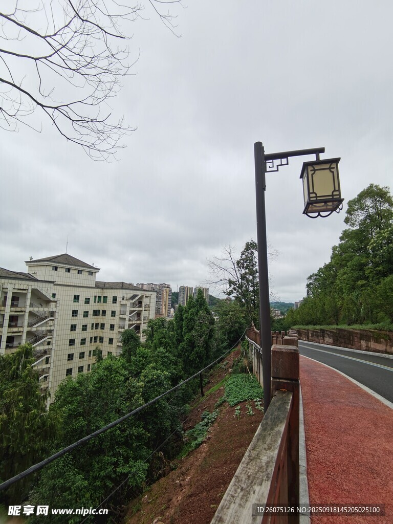 城市路边风景