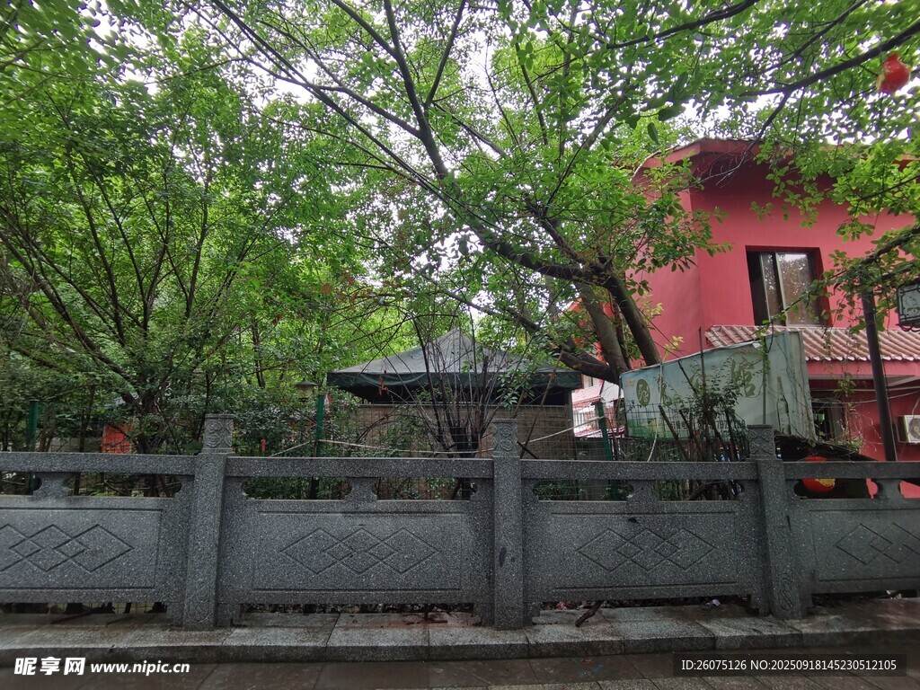 红墙绿树间的静谧景致