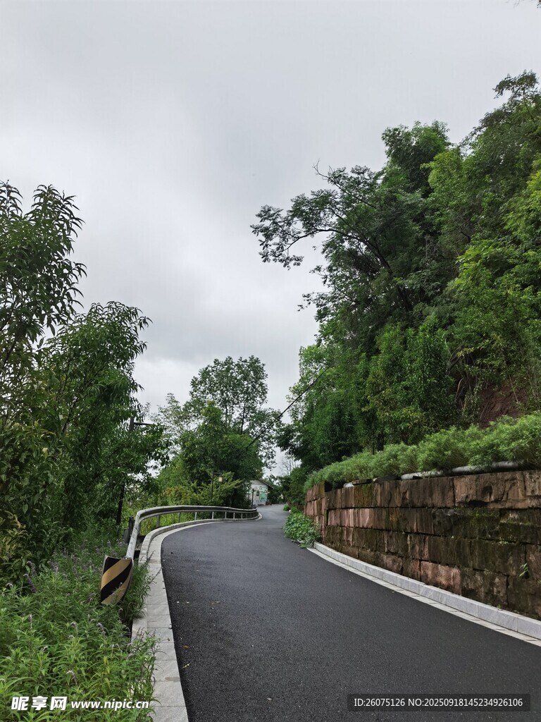 蜿蜒山间路绿意相伴