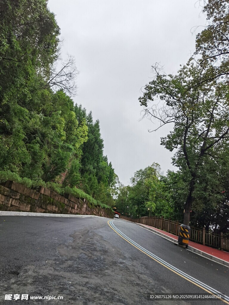 林间蜿蜒公路风景