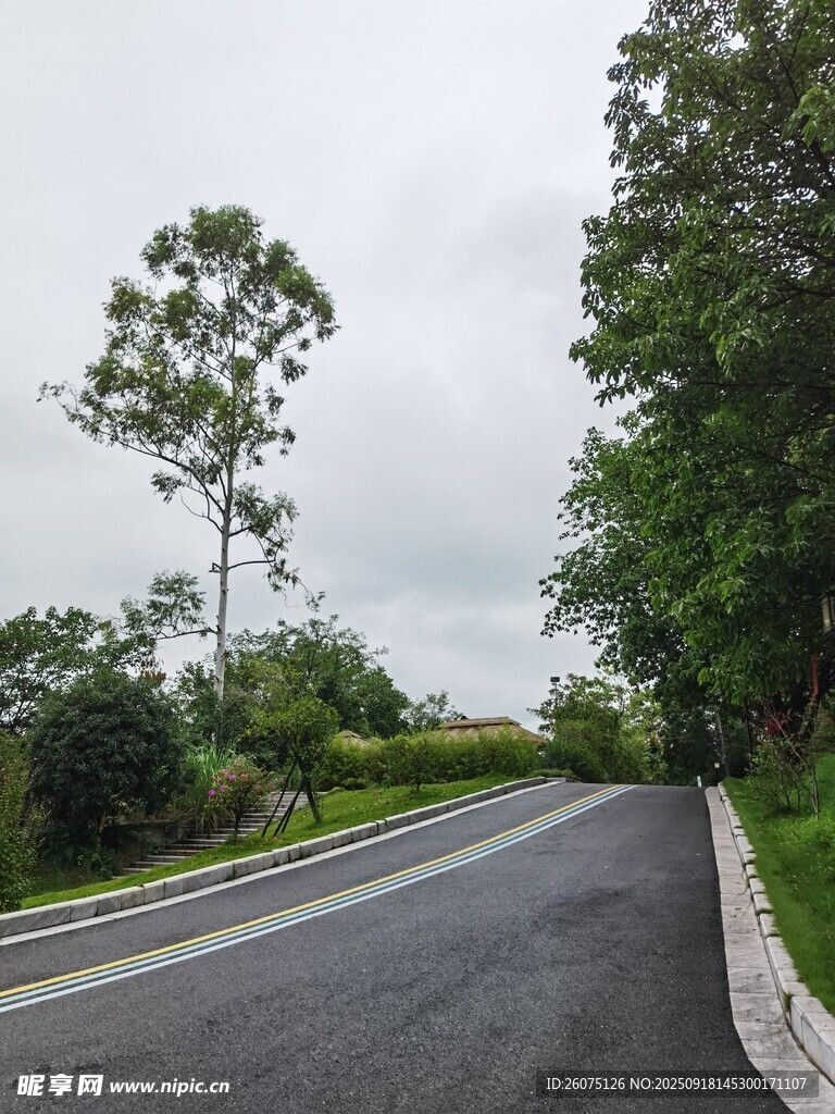 乡村柏油路绿意环绕
