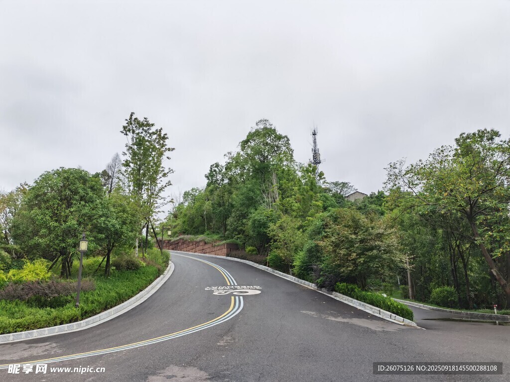 蜿蜒公路穿梭于葱郁树林