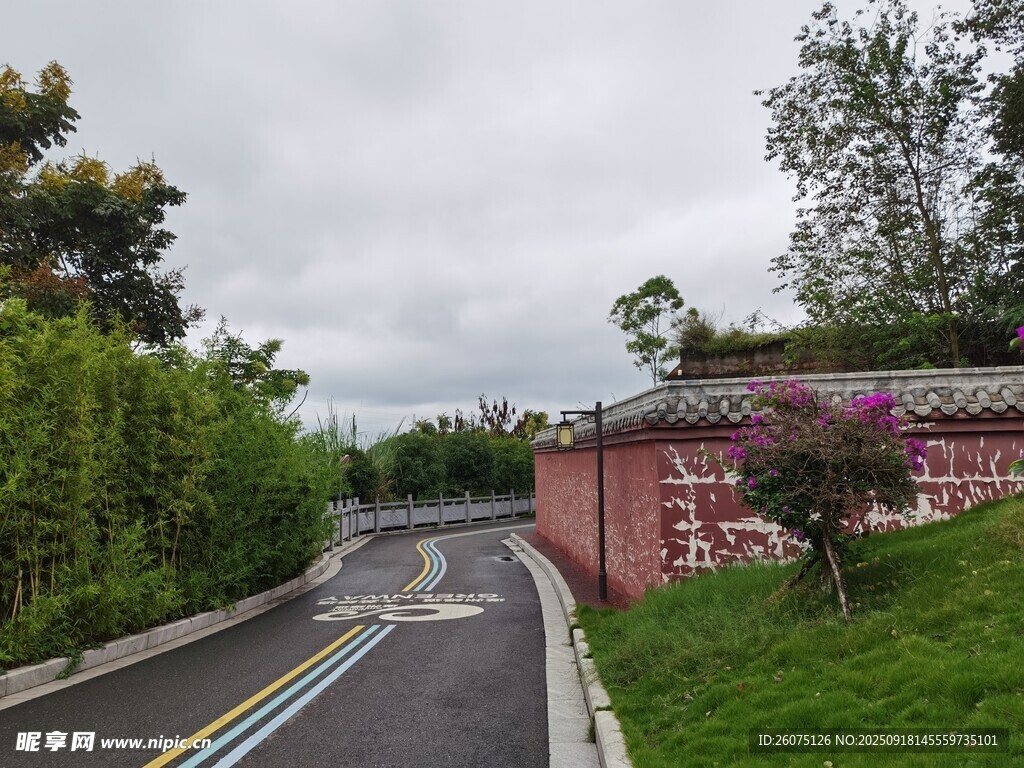 蜿蜒公路旁的绿植与建筑