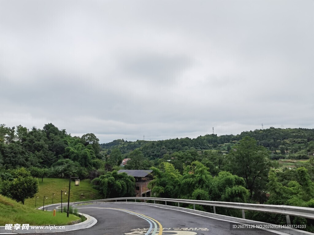 蜿蜒山路旁的葱郁景致