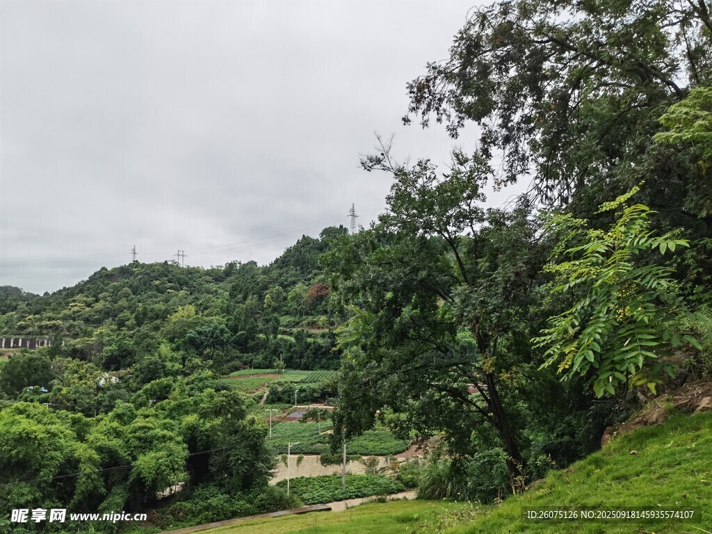 山间绿意盎然的自然景致