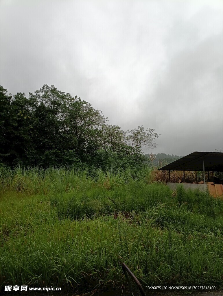 雾中草地与小屋