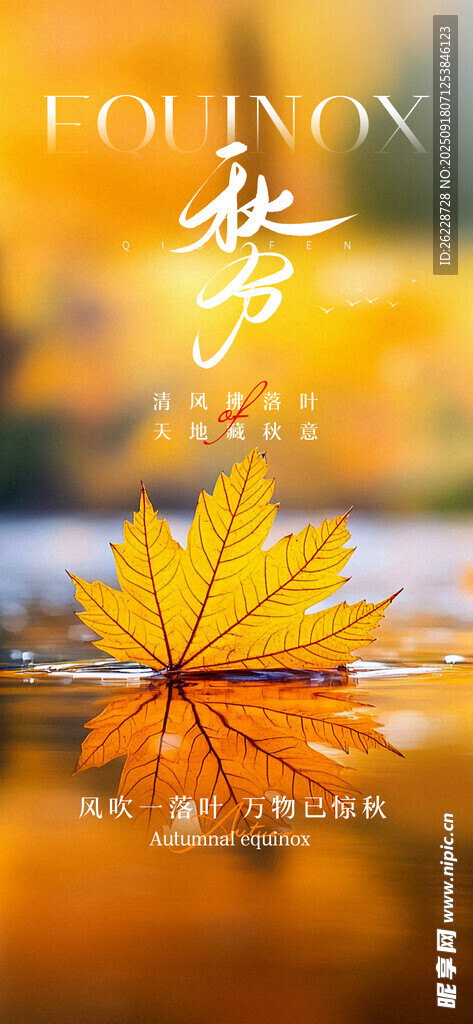 秋分海报