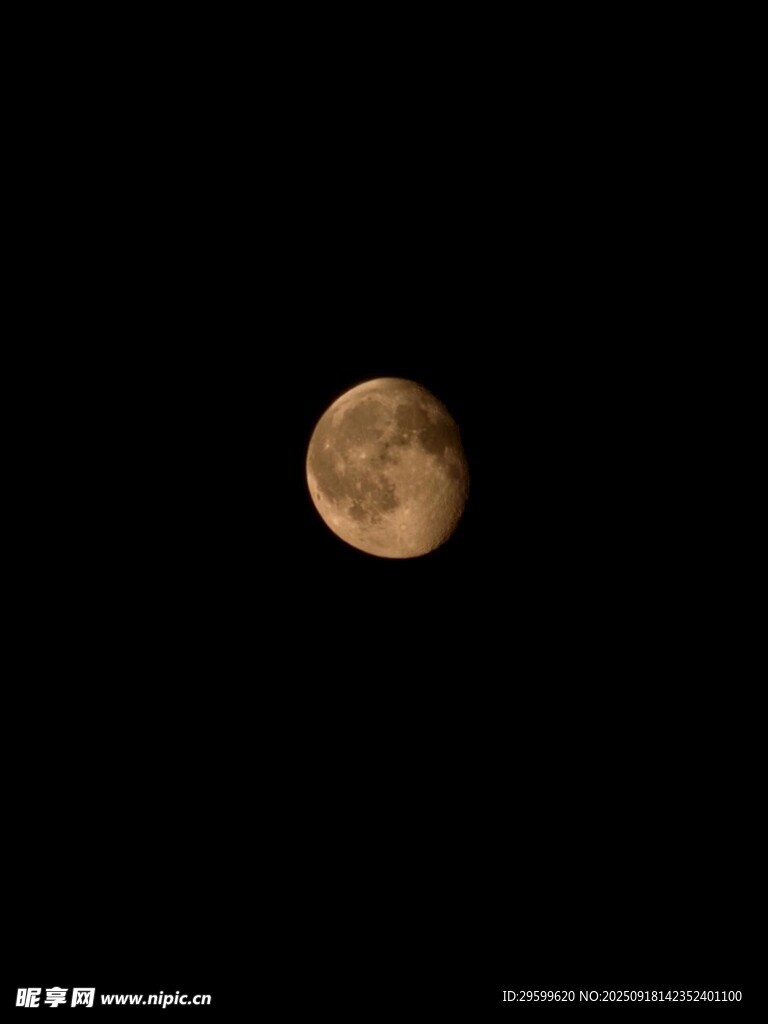 夜空中的金黄圆月