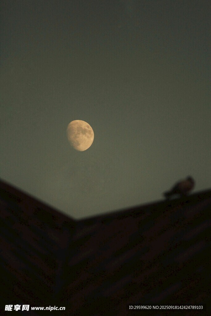 屋顶上的明月